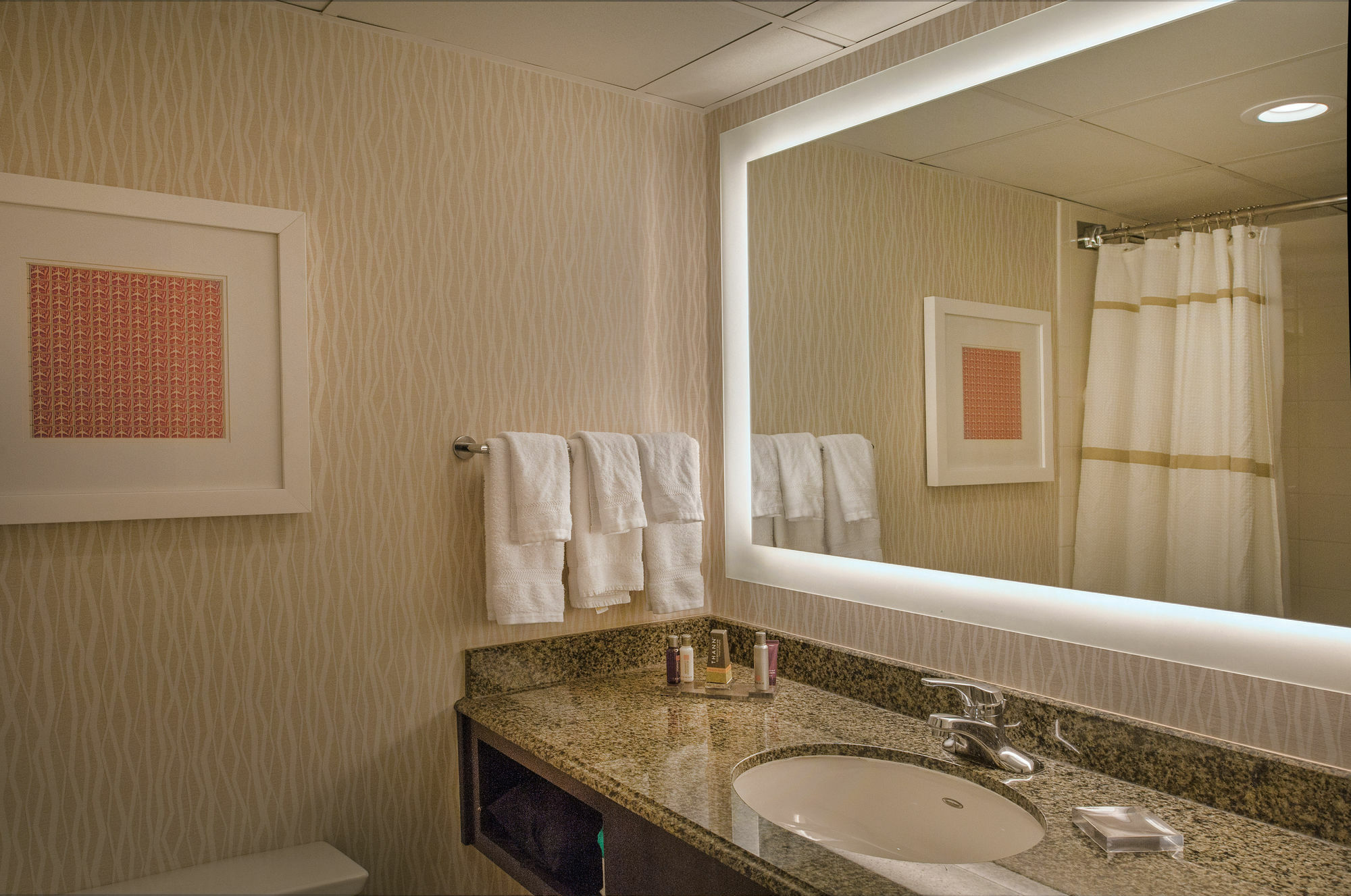 Marriott St. Louis Airport Otel Edmundson Dış mekan fotoğraf
